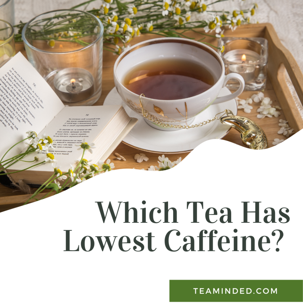 Which Tea Has Lowest Caffeine? TeaMinded