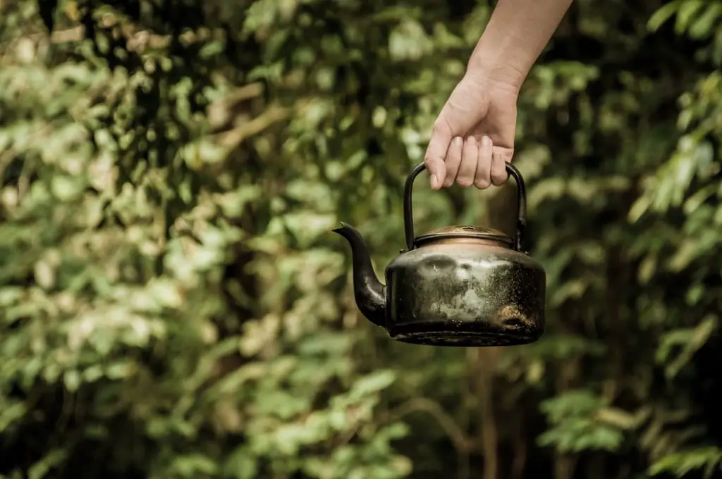 what-is-the-difference-between-a-teapot-and-a-tea-kettle-teaminded