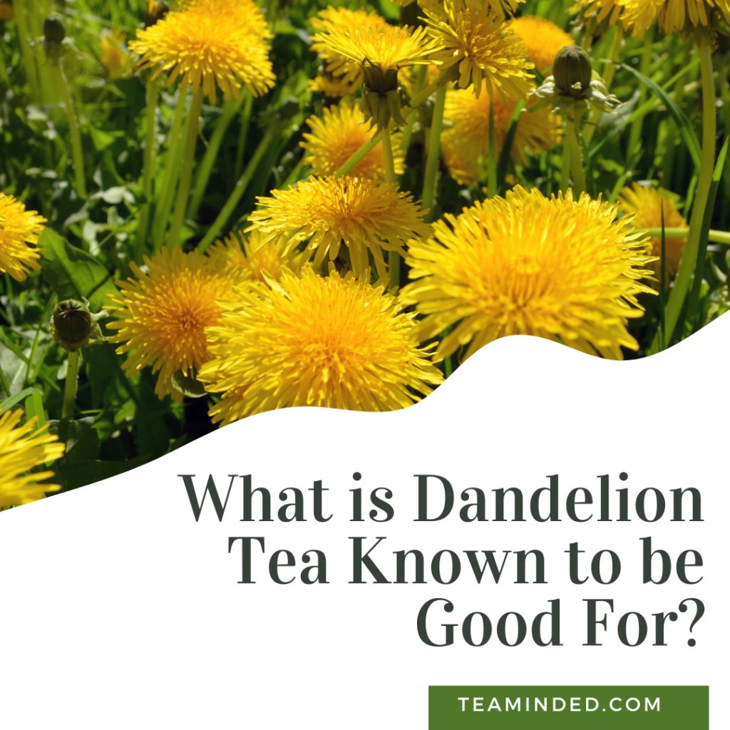 What is Dandelion Tea Known to be Good For?