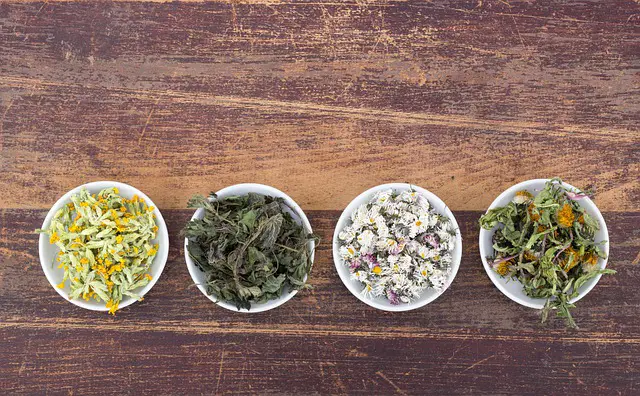 Herbal teas, including dandelions