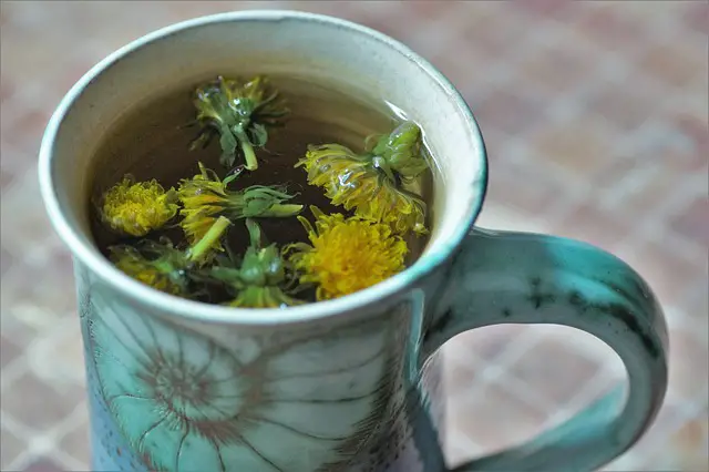 Cup of Dandelion Tea