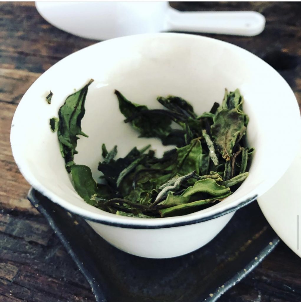 green tea leaves