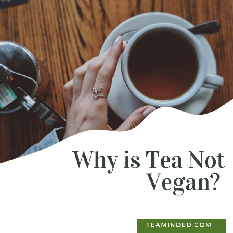 Why is tea not vegan