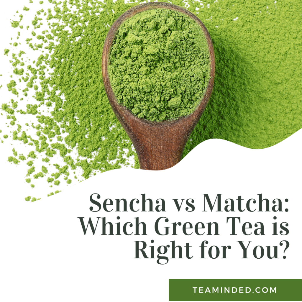 Sencha vs Matcha: Which Japanese Green Tea is Right for You? - Tea Minded