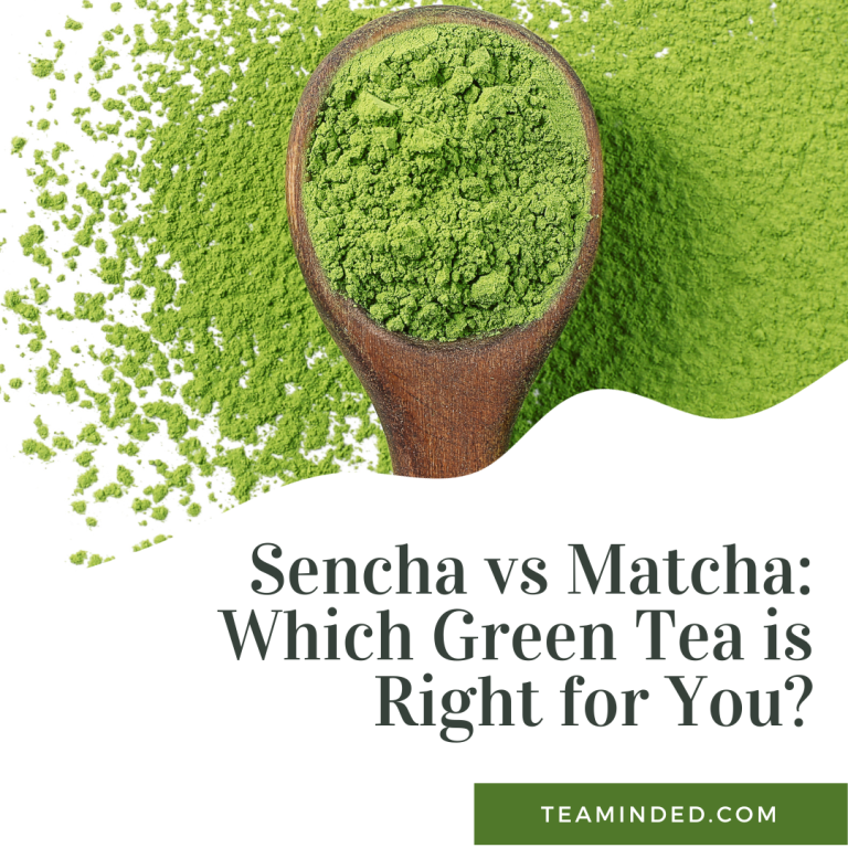 What's the Difference Between Matcha and Sencha Green Tea?