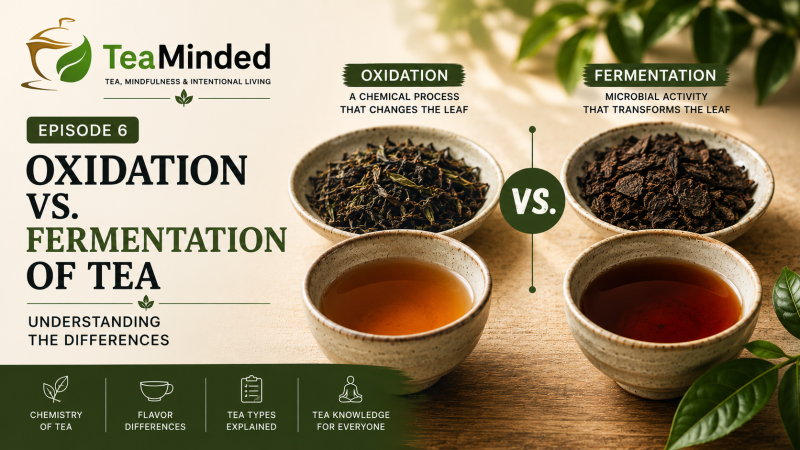 Difference between oxidation and fermentation in tea