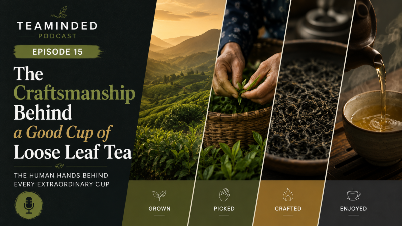 Episode 15 of the TeaMinded Podcast The craftsmanship of good tea
