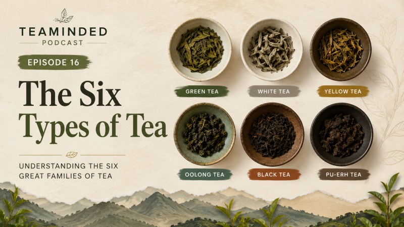 Six types of tea explained on TeaMinded podcast